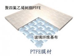 国产PTFE,选美卡膜材